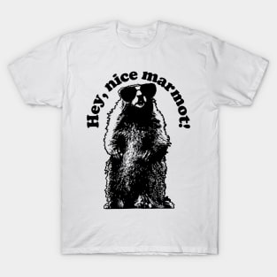 Marmot T-Shirt